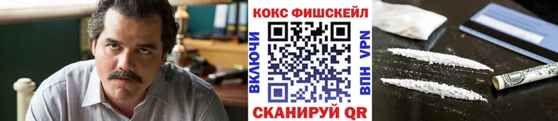 Cocaine FishScale  Купить где  Анжеро-Судженск 