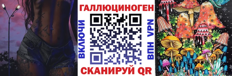 Купить где  Анжеро-Судженск  Галлюциногенные грибы Psilocybe 