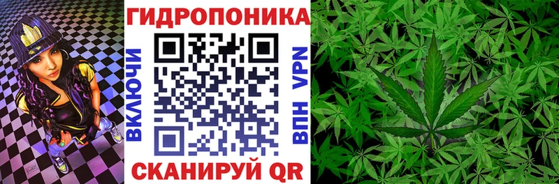 Купить где  Анжеро-Судженск  Бошки Шишки LSD WEED 